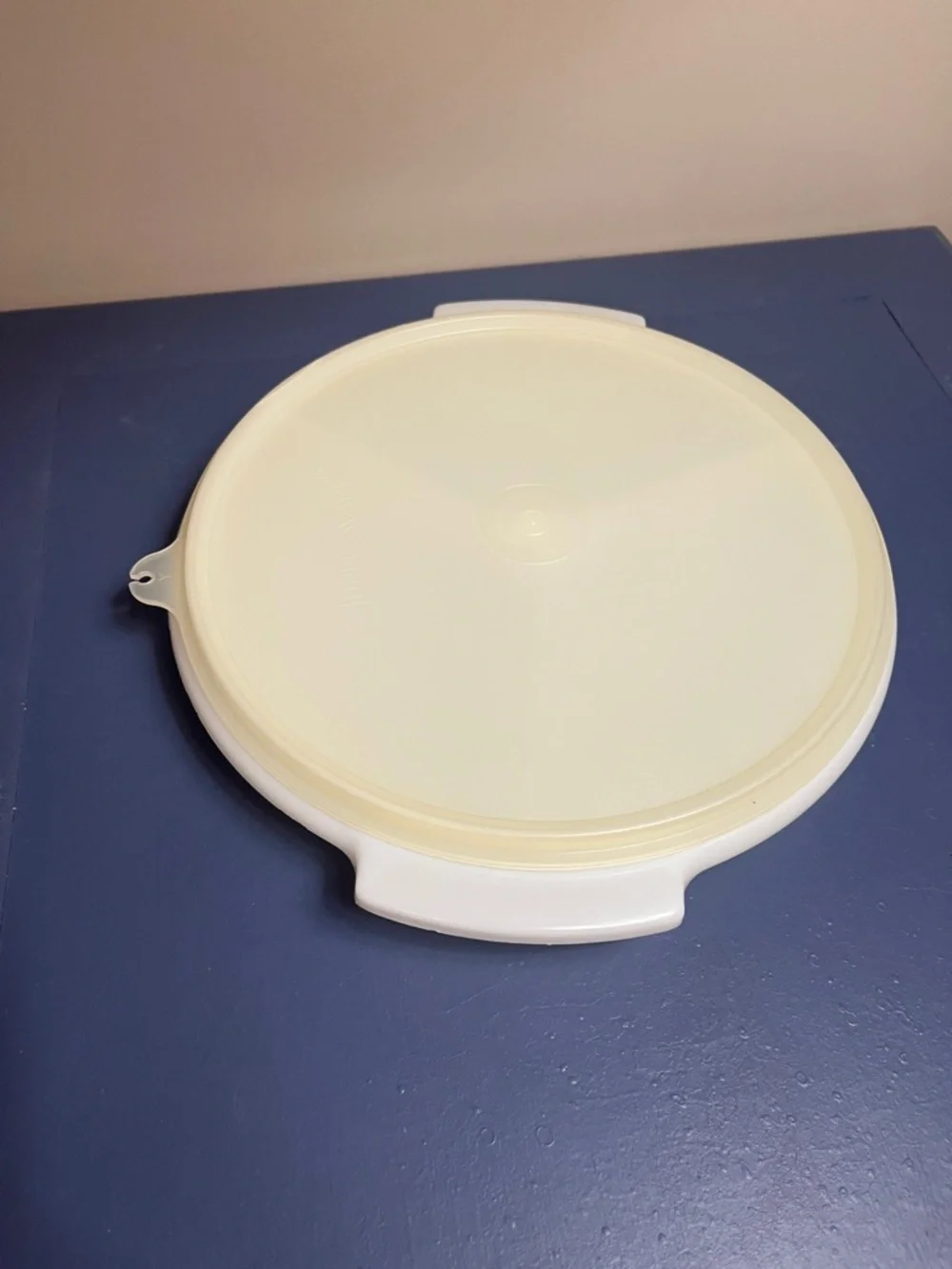 Tupperware 8 in Round Divided Serving Tray with Lid - White/Cream